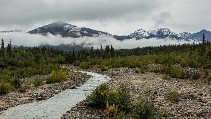 A 13,800-Year-Old Camp in Alaska Links Ice Age Hunters to Siberia. Here’s What Archaeologists Found