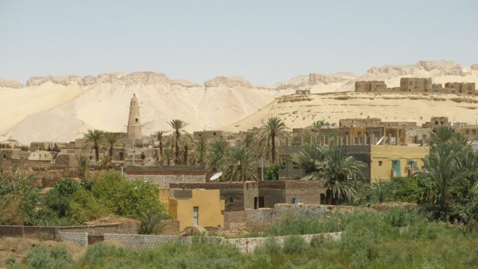 A 1,700-Year-Old Poem for a Father Was Found in an Egyptian Tomb. Here’s What It Reveals