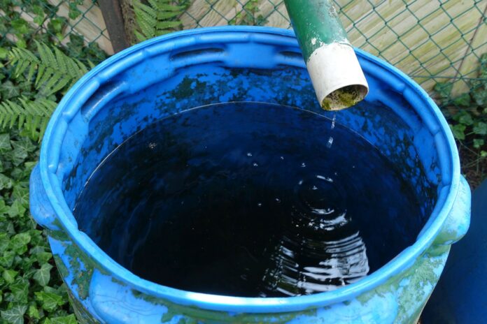 Is Rainwater Safe to Drink? What the Study on ‘Forever Chemicals’ in Rain Actually Found
